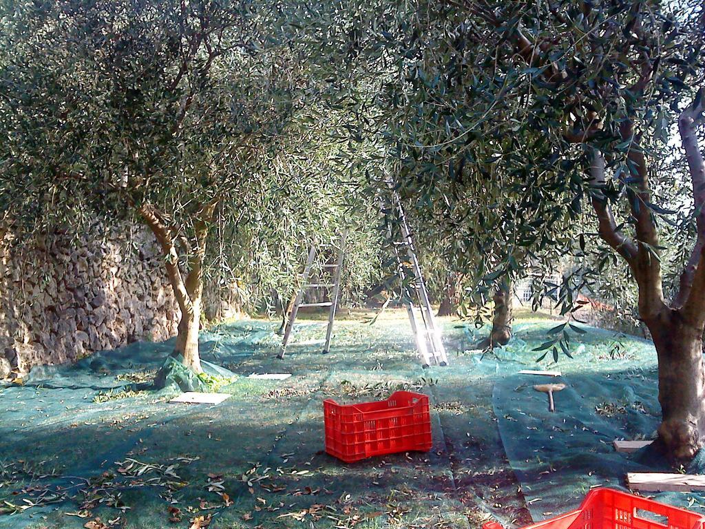 Mas De Vence - Hotel-Restaurant Εξωτερικό φωτογραφία