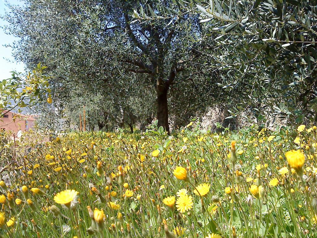 Mas De Vence - Hotel-Restaurant Εξωτερικό φωτογραφία