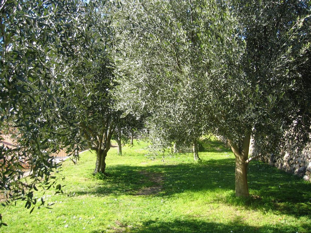 Mas De Vence - Hotel-Restaurant Εξωτερικό φωτογραφία